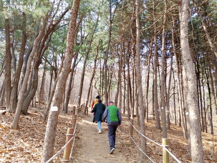 5분 간 빠른 걸음으로 산을 오르며 몸의 체온을 올렸다. ⓒ우장근린공원힐링체험센터