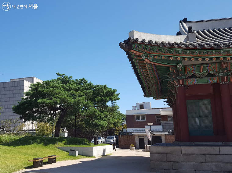 국립현대미술관 서울관 옆에 있는 종친부 소나무