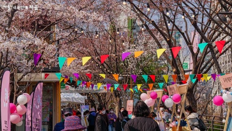 화려한 만국기와 망울진 벚꽃들이 축제의 흥겨움을 더해 준다.