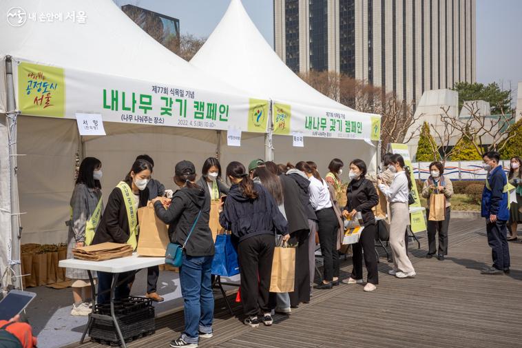 목수국, 서향(천리향) 총 600그루가 마련된 행사장 