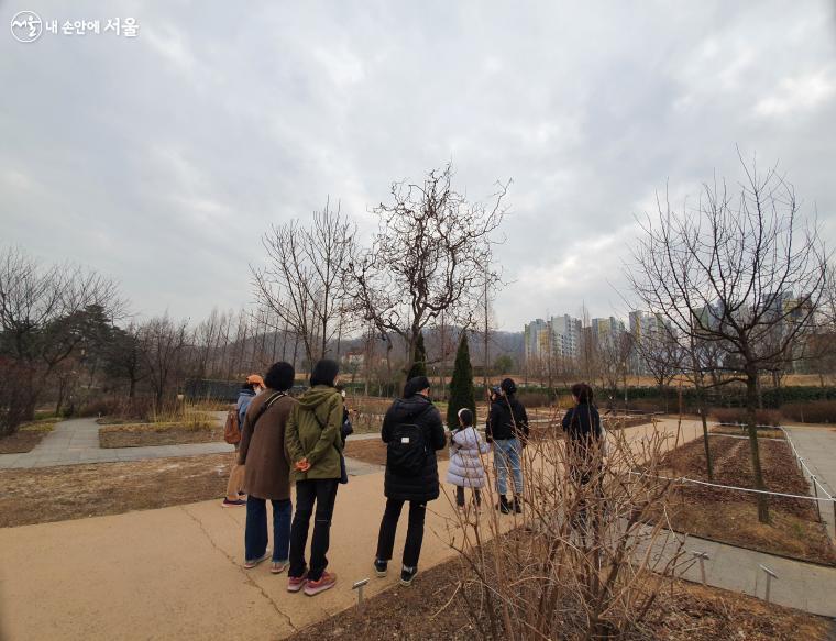 구불구불한 모습의 아까시나무 ‘토르투오사’ 나무에 대한 설명을 듣고 있다.