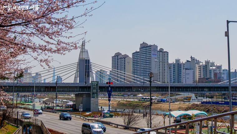 벚꽃 핀 제방 산책로에서 바라보이는 돛단배 형상의 겸재교와 하부 통행로의 모습