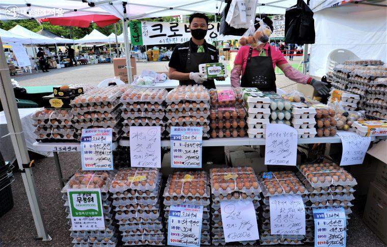 충남 홍성에서 참여한 계란 전문 생산 농부 ⓒ조수봉