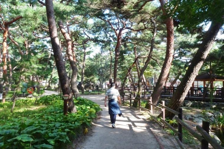 나무 사이로 산책하기 좋은 솔밭공원 ⓒ김종성 