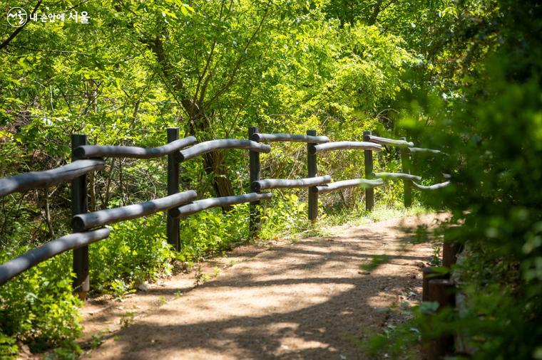 양천구 목동에 위치한 '달마을 근린공원'의 산책로, 걷기 편하도록 잘 정비돼 있다.