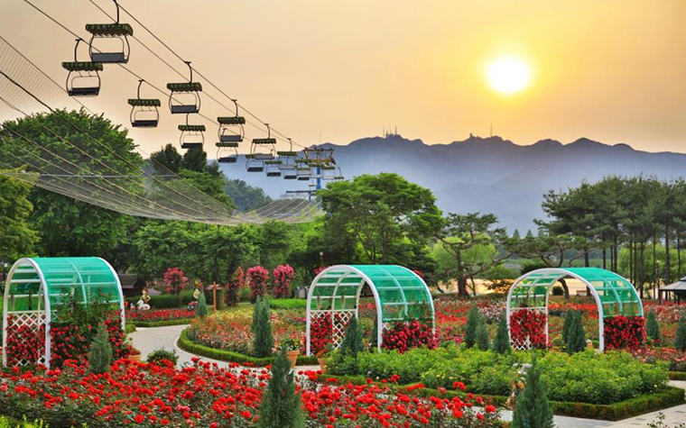 장미 만발~ '서울대공원 일상다,정원'에서 인생네컷 찍자!