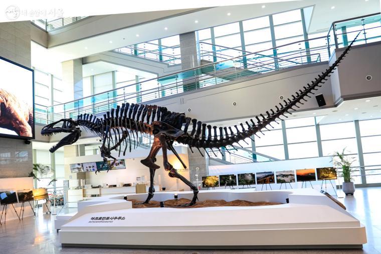 1층 중앙홀 가운데 설치되어 있는'아크로칸토사우루스' 조형물. 엄청난 크기의 공룡 뼈대 모형이 눈길을 사로잡는다. 