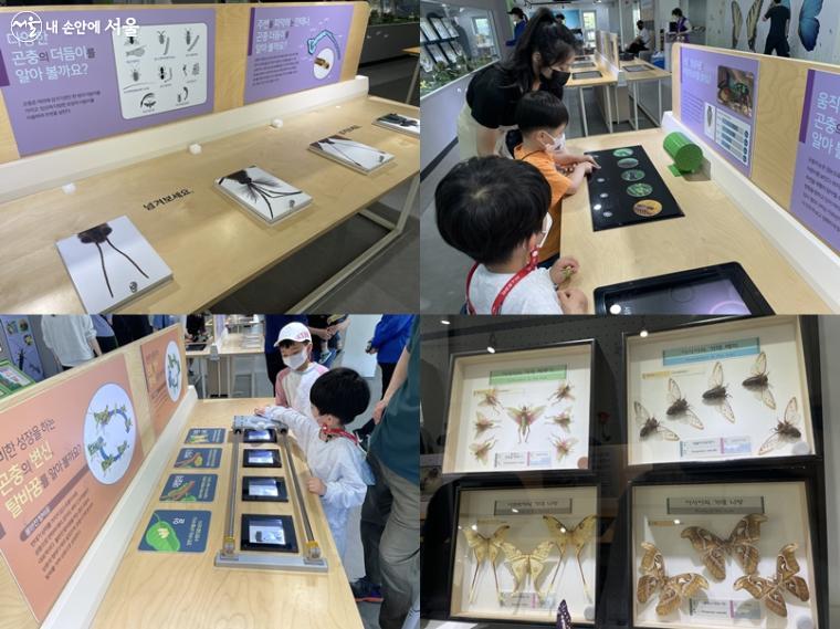 2층 곤충학습관에서 다양한 곤충에 대해 배울 수 있다.