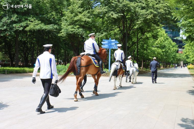 경찰기마대는 2017년 '서울시 미래유산'으로 선정됐다 