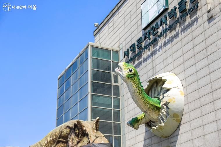박물관 입구 벽면에는 깨진 알에서 막 나오는 듯한 아기 공룡 모형물이 설치되어 있다. 
