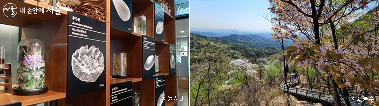 서울식물원 씨앗도서관에선 씨앗을 대출받아 식물 키우기에 도전해 볼 수 있다(좌), 신록의 계절 산책이나 등산에 도전해 보자(우)
