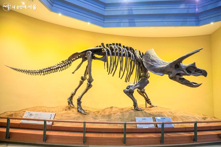 생명진화관에서 가장 인기가 많은 관람 장소는 공룡 화석들이 전시되어 있는 공간이다. 