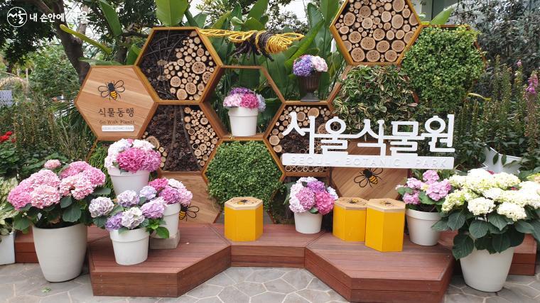 서울식물원 온실입구 사진 명소, 기후위기를 극복하여 꿀벌이 다시 행복해지는 소망을 담았다 ⓒ이준엽