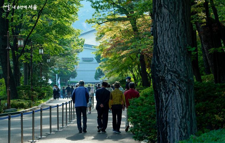 청와대 본관에서 녹지원으로 향하는 숲길, 나무 사이로 비치는 햇살 아래로 시민들이 걷고 있다 ⓒ이용수