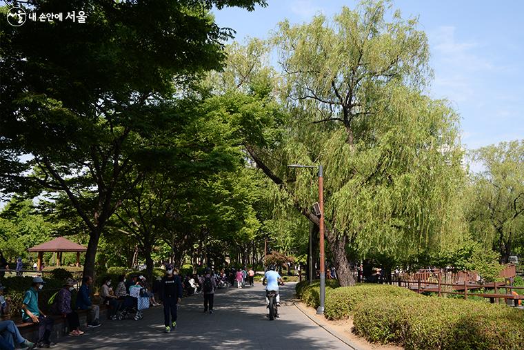 공원의 나무 그늘 아래에서 시민들이 즐거운 시간을 보내고 있다. ⓒ박혜진