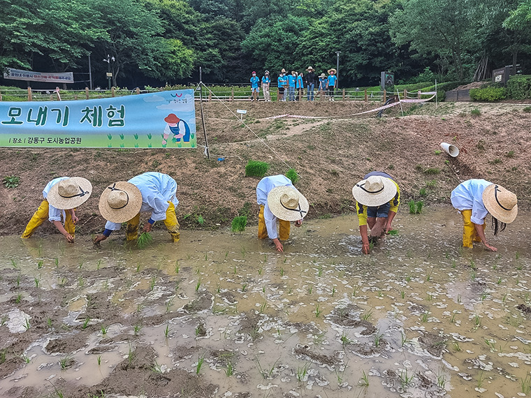 꼬마 농부 나가신다~ 모내기 체험으로 먹거리 소중함 배워요!