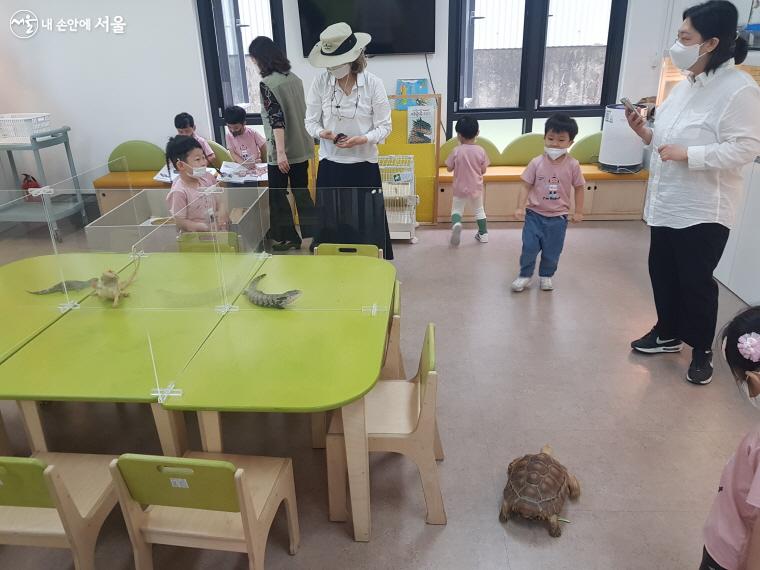 자연노리 체험교실에서 동물들을 관찰하고 있는 어린이들