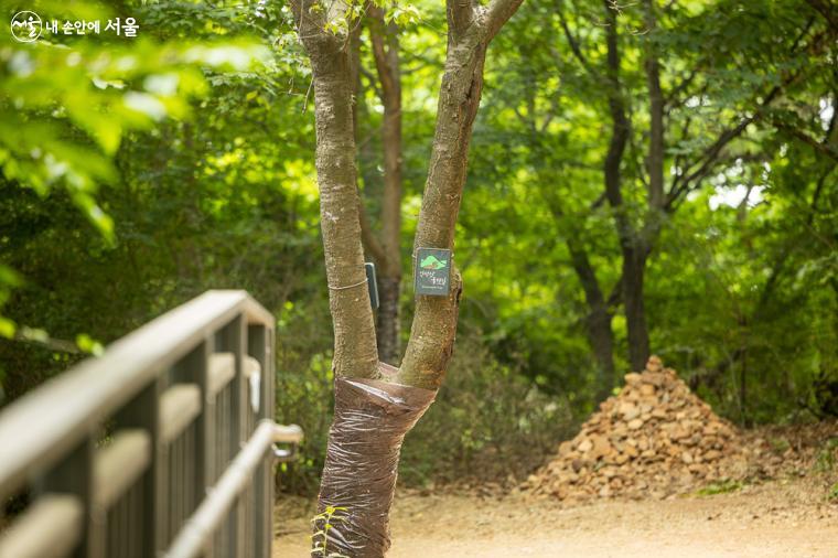 신정산둘레길 & 무장애숲길 & 흙길산책로 등이 교차하는 구간에는 이정표를 새롭게 설치하여 이용자들의 혼선을 줄였다.