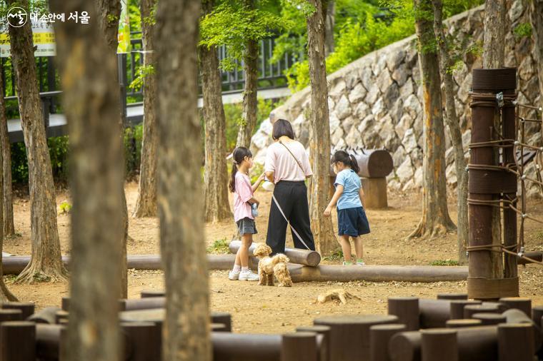 신정산둘레길 중간지점에 위치한 계남근린공원의 '유아숲체험원'을 즐기고 있는 가족의 모습