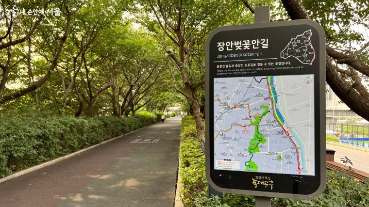 장안벚꽃안길: 군자교에서 중랑교, 이화교로 이어지는 중랑천 제방위에 조성된 산책길 ⓒ이준엽