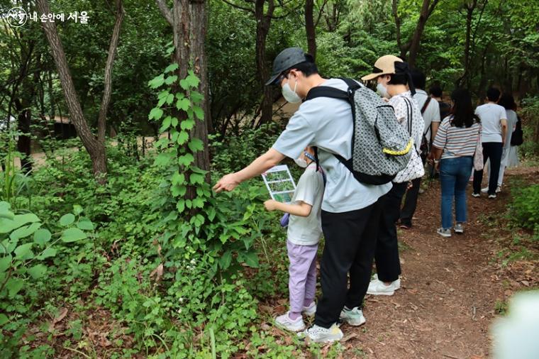 각종 나뭇잎에 대한 설명을 듣고 나뭇잎을 찾아 스티커를 모두 붙이면 미션 완성이다. ⓒ정향선