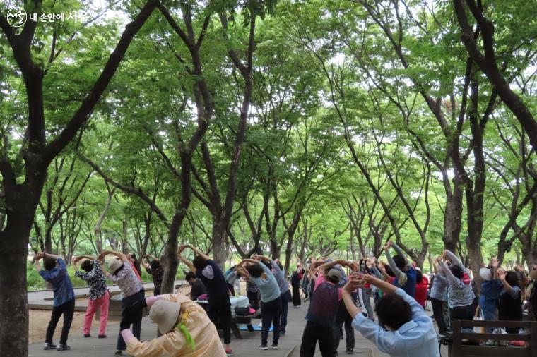 스트레칭으로 굳은 근육들을 늘려주면 관절염 예방에도 좋다. 