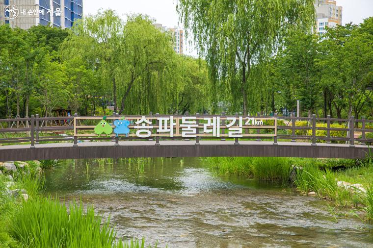 '성내천'의 대표적인 포토존인 물빛광장 '물빛 다리'가 보인다.  