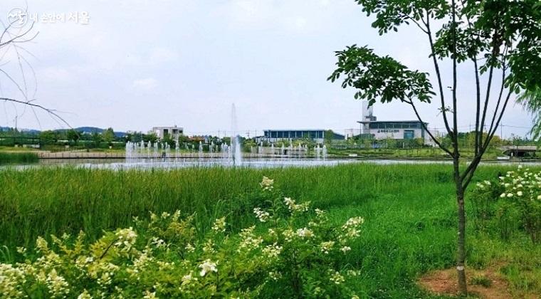 호수 한가운데 분수가 솟구치는 서울식물원 야외공원