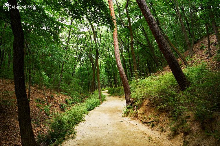 태릉~강릉 숲길은 봄과 가을, 일 년에 두 차례 개방된다. 입장마감 시간이 태릉 입장마감과는 별도로 16시라는 점에 주의해야 한다.