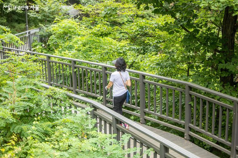 평탄한 경사로 설치된 나무데크길 덕분에 60~70대 어르신들도 충분히 걸을 수 있는 구조가 돋보인다.