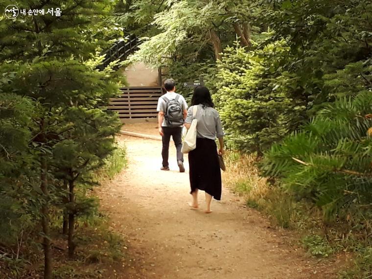 안산자락길에서 초록숲 사이를 맨발로 걸으며 산림욕을 즐기는 모습이 편안해 보인다. 