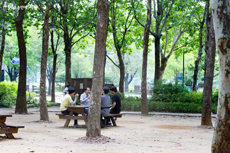 벤치에 앉아 바람에 사그락거리는 초록 잎들을 보는 것만으로도 보라매공원을 찾을 이유가 충분하다.