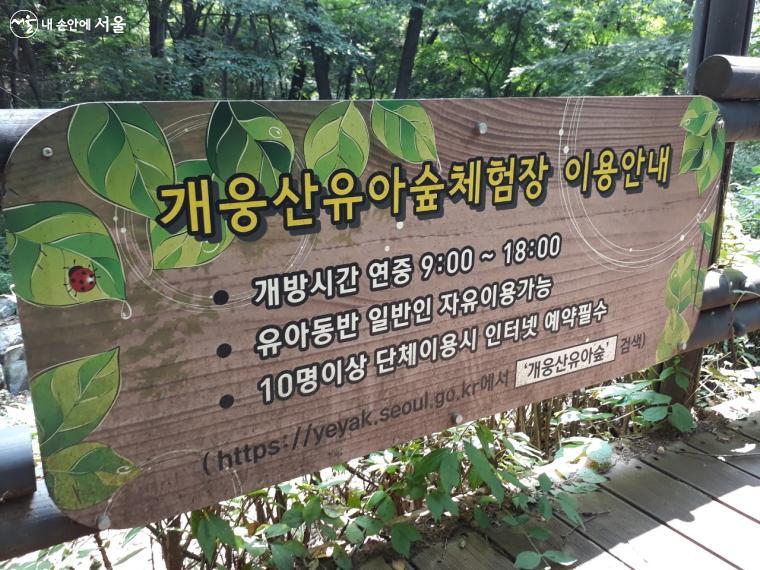서울시 공공예약서비스를 통해 다양한 유아숲체험프로그램 신청이 가능하다.