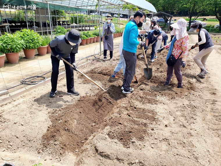 작물을 이식하기 전 참가자들이 텃밭을 일구고 있다. ⓒ방금숙