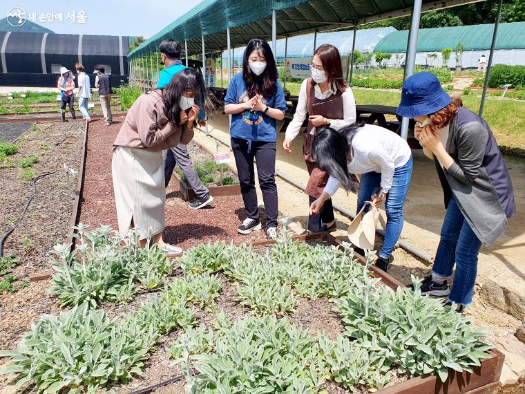 서울시 상반기 치유농업 장기프로그램이 5월 11일부터 7월 6일까지 진행됐다. ⓒ방금숙