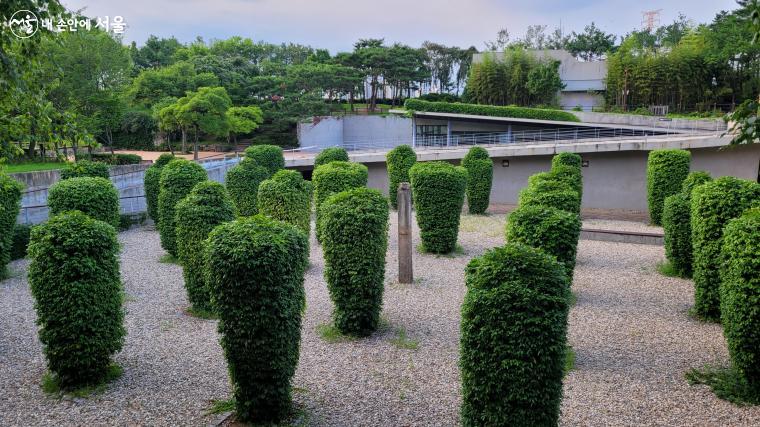 선유도공원의 녹색기둥의 정원. 담쟁이로 뒤덮인 기둥들이 나란히 자리하고 있다.