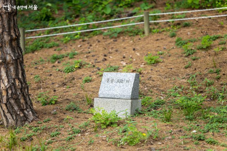 현재는 홍릉은 남양주로 이장되었고, 홍릉숲에는 옛 홍릉 터만 남아 있다. ⓒ임중빈