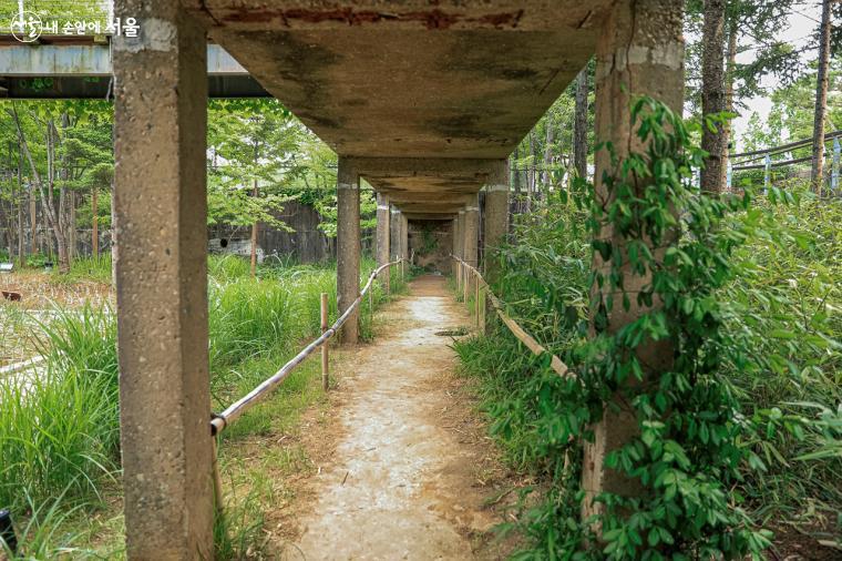   마치 터널처럼 이어져 보이는 '시간의 정원' 보행로 하부. 옛 정수장의 콘크리트 구조물들이 원형 그대로 남아 있다. ⓒ박우영
