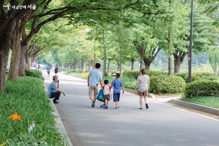 지친 마음에 환기가 필요할 때 멀리 가지 않아도 만날 수 있는 서울의 힐링명소, 보라매공원