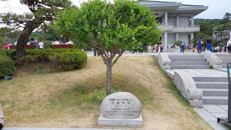 첫 남북정상회담 기념 식수가 영빈관 앞에 위치해있다. ？방주희 