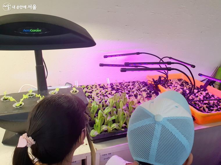LED 조명을 활용해 식물을 재배하는 모습에 아이들이 신기해했다. ⓒ방금숙