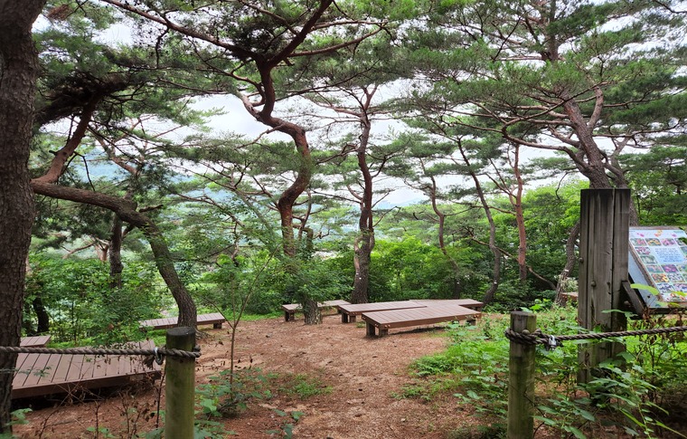 남산을 느끼는 색다른 방법 '솔바람 오감 힐링여행' 