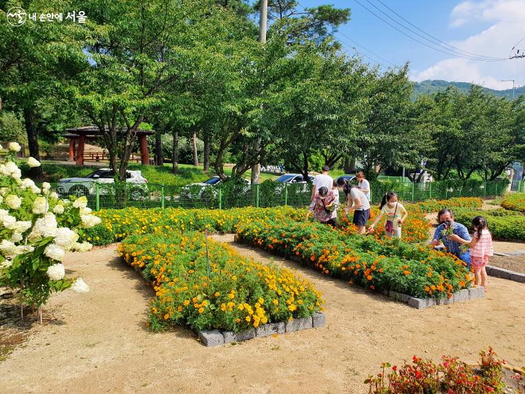 서울시농업기술센터는 8월 10일까지 ‘2022 여름철 어린이 자연학교’를 운영한다. ⓒ방금숙