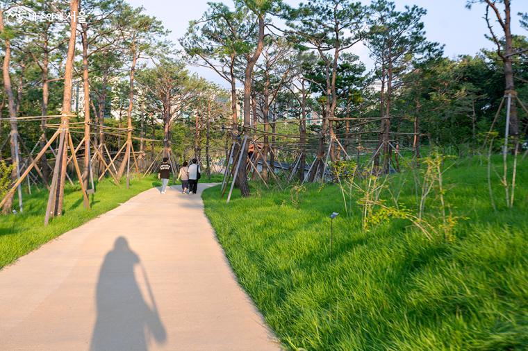 서울 시내의 한가운데 율곡로 위에 걷기 좋은 담장길과 녹지가 조성된 것은 반가운 일이다. 