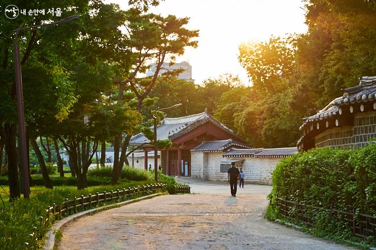 동순라길의 끝이자 시작인 종묘 외대문의 모습이 다시 보인다. 서녘에서 비추는 황금빛 햇살이 산책자를 다시금 반갑게 맞아준다 .