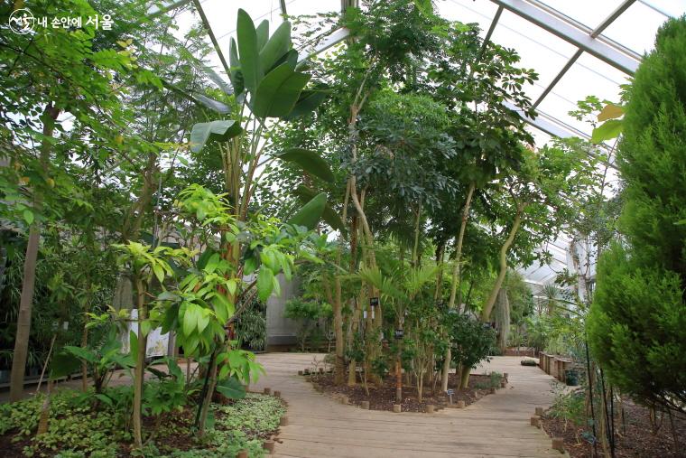 온실로 지어진 KB숲교육센터 안. 여러 나라의 식물들이 있고, 교육과 전시회도 진행한다. 