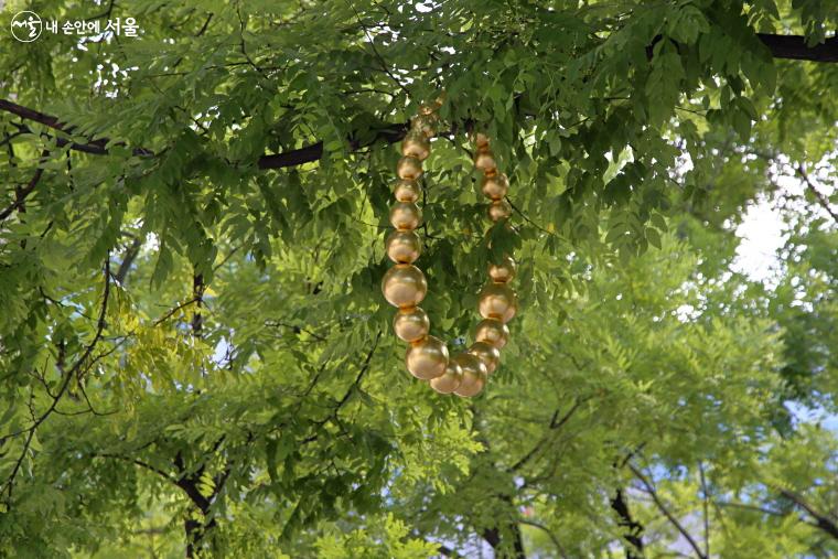 덕수궁과 시립미술관 야외조각 공원 나무에 ‘황금목걸이’가 걸려 마치 희망의 나무 같다.ⓒ이선미 