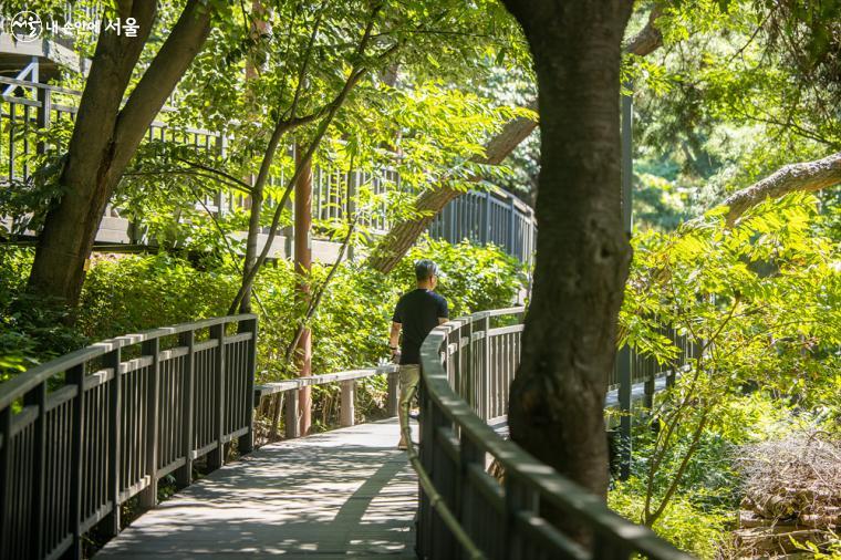아차산숲속도서관 주변으로는 아차산 생태공원의 무장애나눔길이 조성되어 있어 산책을 즐기기 좋다
