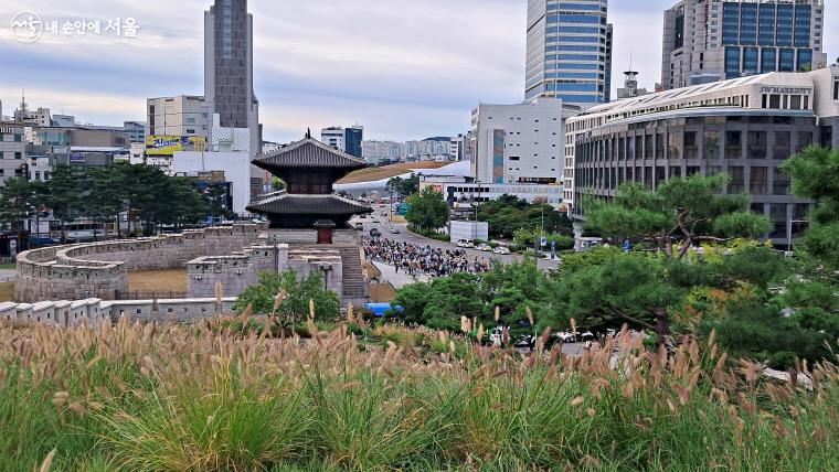 동대문 성곽 공원에서 내려다본 걷기 행렬. 햇살에 물든 수크령이 가을 정취를 물씬 자아낸다.