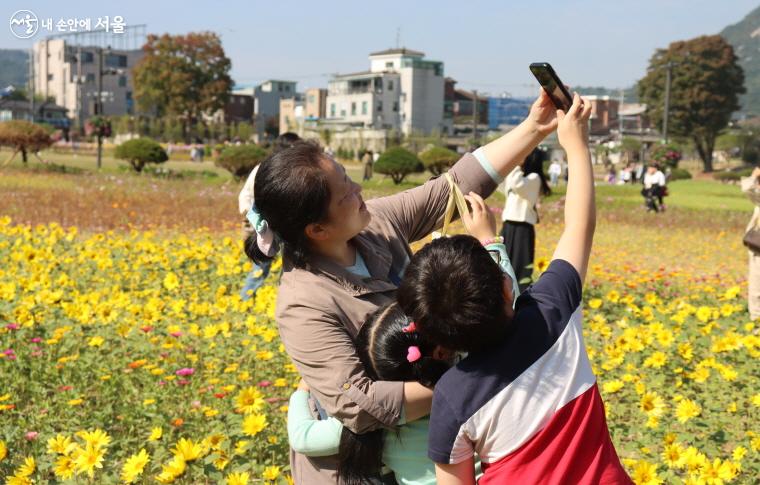 열린송현녹지광장의 해바라기 꽃밭에서 어머니와 아이가 사진을 찍고 있다. 